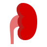Robotic Urology