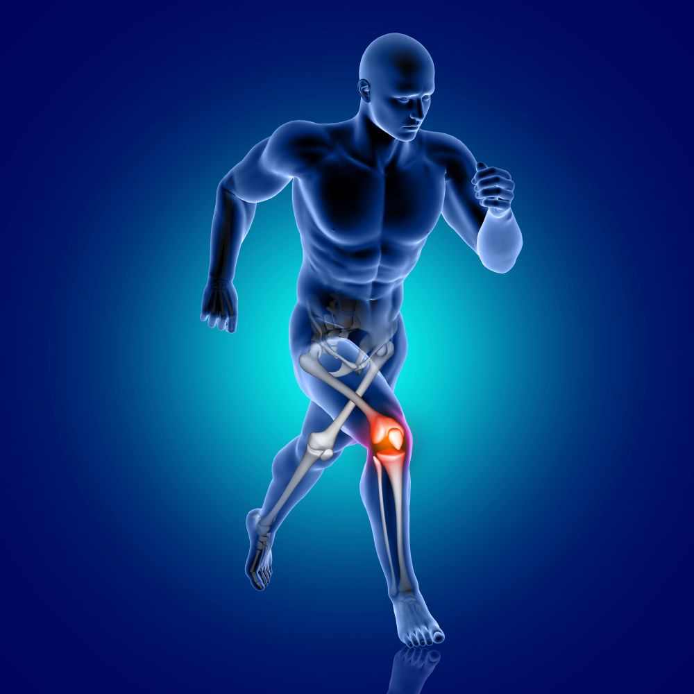 Robotic Knee Surgery