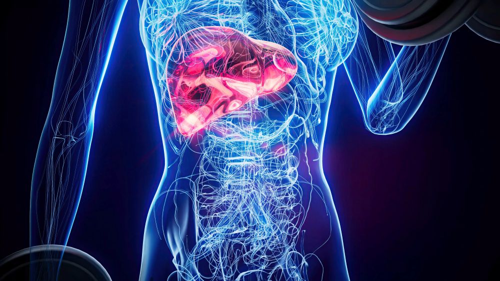 fatty liver